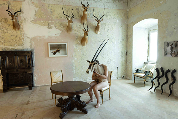 animale_0003_5.kasalova.2022