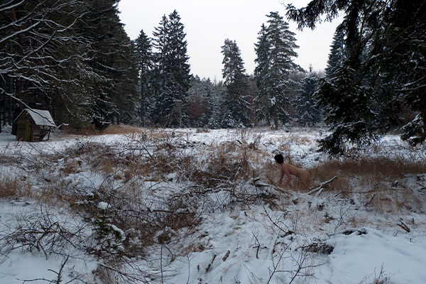 animale_0004_4.kasalova2009